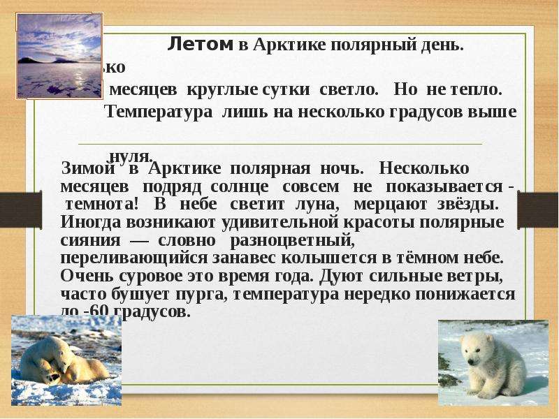 Несколько месяцев. Летом в Арктике круглые сутки. Летом в Арктике круглые сутки день. Несколько месяцев круглые сутки в Арктике. Летом в Арктике Полярный день.