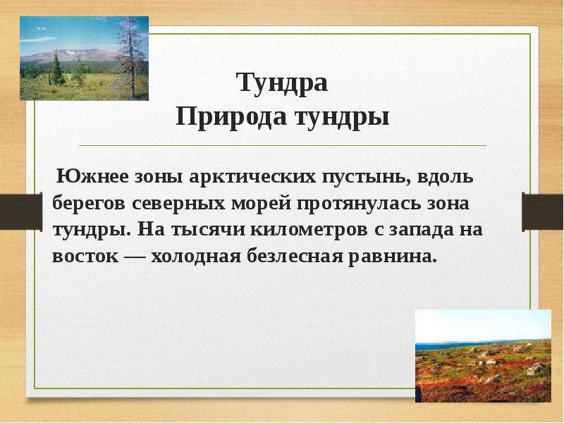 Сопоставьте природу. Тундра характеристика природной. Характеристика природы тундры. Сравни природу тундры и природу зоны арктических пустынь. Неживая природа тундры.