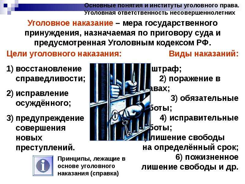 Уголовно правовые понятия. Основные понятия и институты уголовного права. Институты условного права. Уголовное право институты. Основные институты уголовного права РФ.