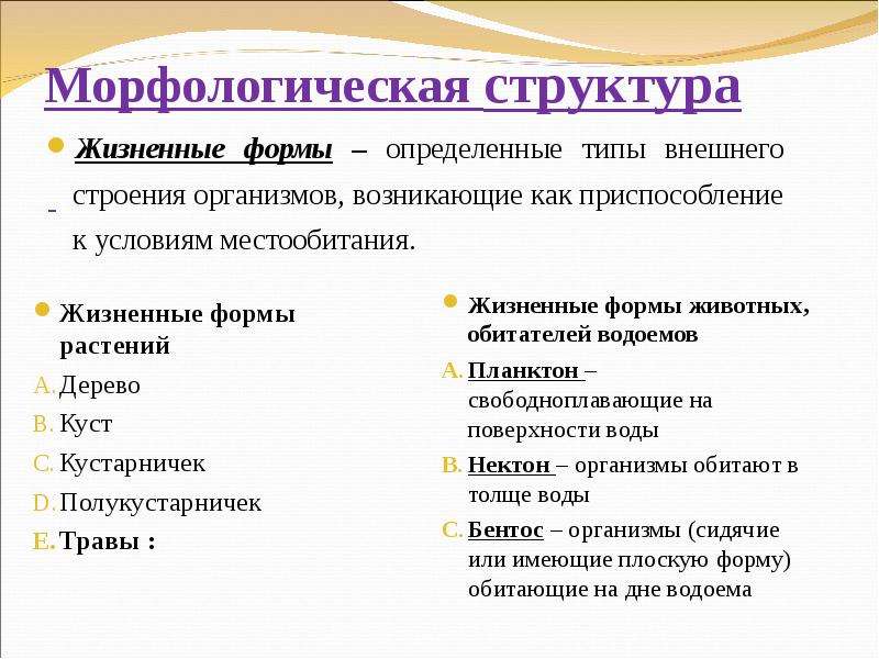 Морфологическая структура текста