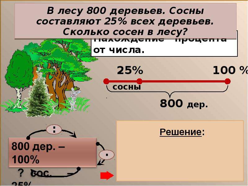 В роще 700 берез сколько процентов. Сколько машин то есть дерево сколько. В лесу 800 деревьев сосны составляют 3/4 всех деревьев. 25% От 800 решение. Сколько деревьев на земле и сколько звезд.