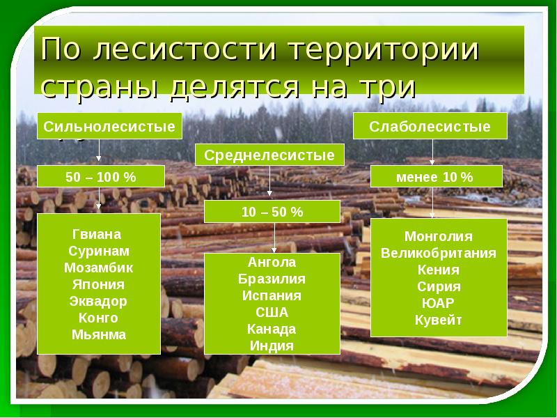 Природные ресурсы лесных зон россии. Типы лесных ресурсов. Лесные ресурсы презентация. Лесная промышленность природные ресурсы. Примеры лесных природных ресурсов.