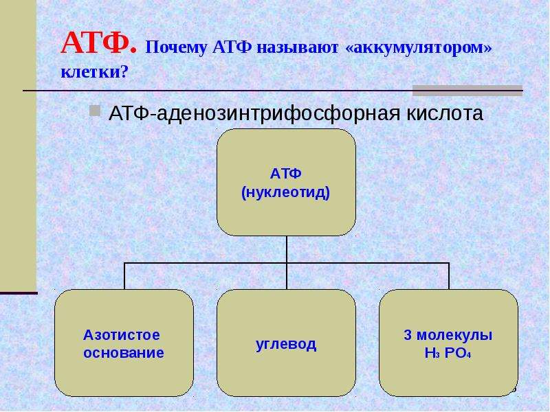 Атф 10 класс. Классификация АТФ. Классификация АТФ биология. Функции АТФ биология. Структура АТФ биология 9 класс.