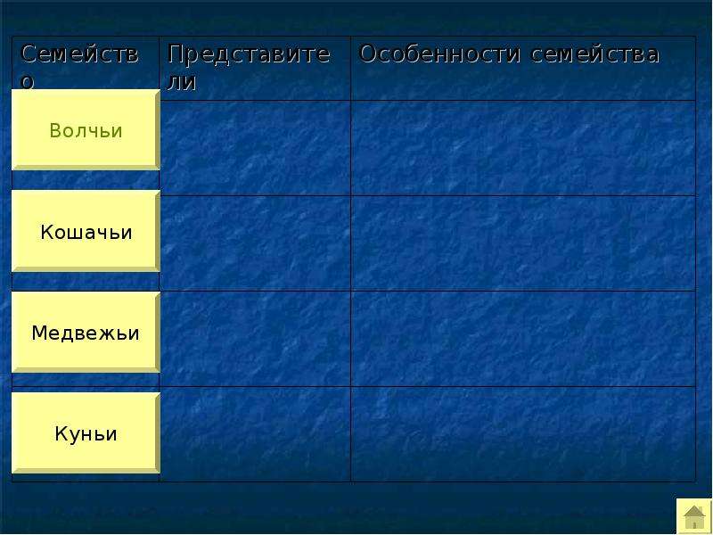 Отряд хищные представители таблица. Семейства отряда Хищные. Характеристика основных семейств отряда Хищные таблица. Отряд Хищные таблица. Отряд Хищные презентация.