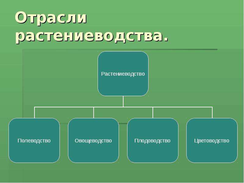 Основные направления в растениеводстве 5 класс презентация