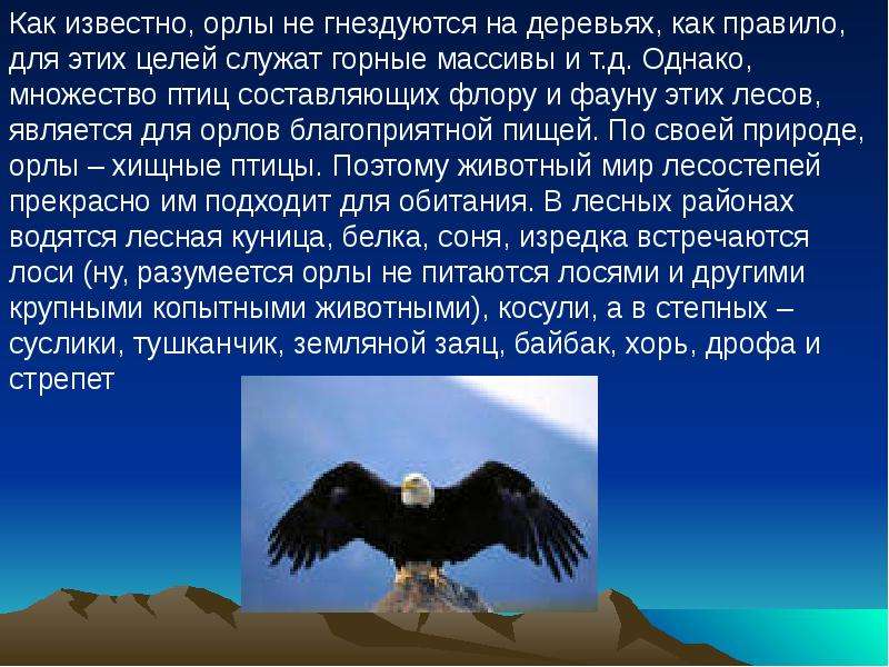 Сообщение об орле. Презентация на тему Орел. Доклад про орла. Доклад на тему орёл. Орел информация о птице.
