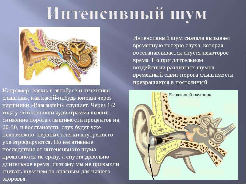 Орган слуха и шум. Влияние шума на слух человека. Буклет влияние шума на здоровье. Долговременное воздействие шума на слух. Временная потеря слуха.