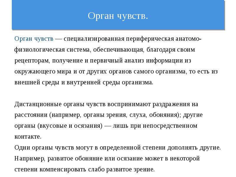 12 чувств. Специфичность органов чувств. Анализатор и орган чувств разница. Специфичность органов чувств физиология. Чем анализатор отличается от органа чувств.