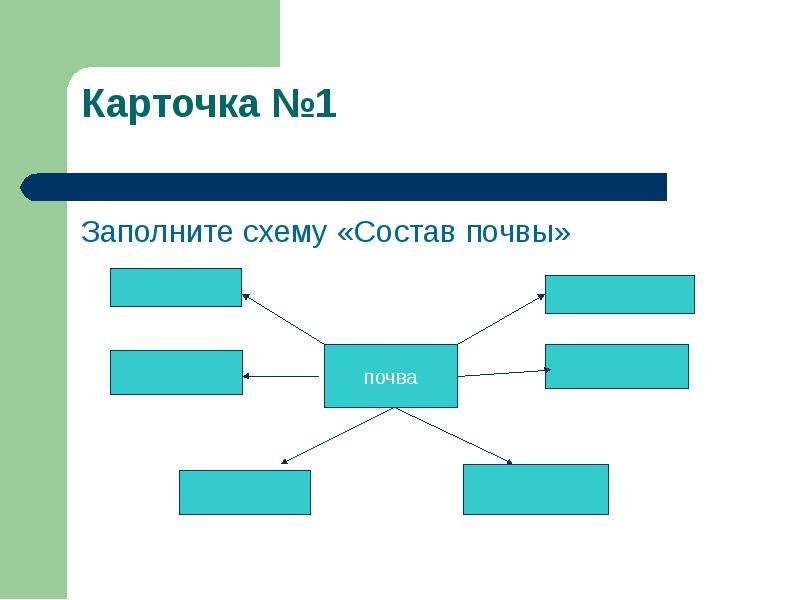 Заполни схему природные сообщества