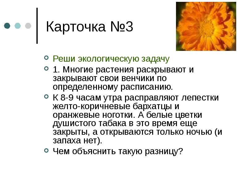 Среда решения задач. Многие растения раскрывают и закрывают. Реши экологические задачи многие растения раскрывают и закрывают. Многие растения раскрывают и закрывают венчики. К 8 9 часам утра расправляют лепестки желто коричневые бархатцы.