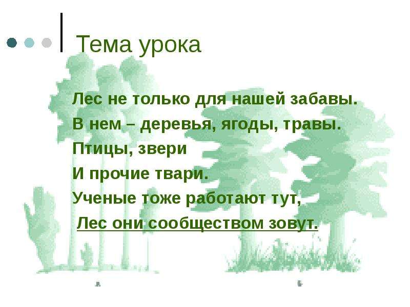 Тут лес. Урока леса. Лес не только для нашей забавы он богатство нашей страны. Лес не только для нашей забавы. Лес не только для нашей забавы Автор.