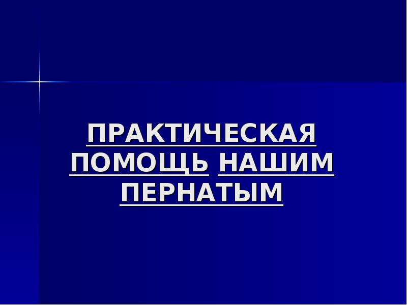 Практическая 18. Практическая помощь. Понятие практическая помощь. Практичная помощь.