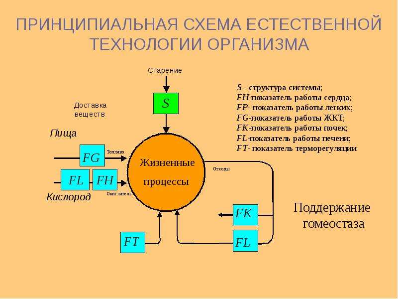 Естественные технологии. Естественный интеллект. Сферы применения искусственного интеллекта схема.