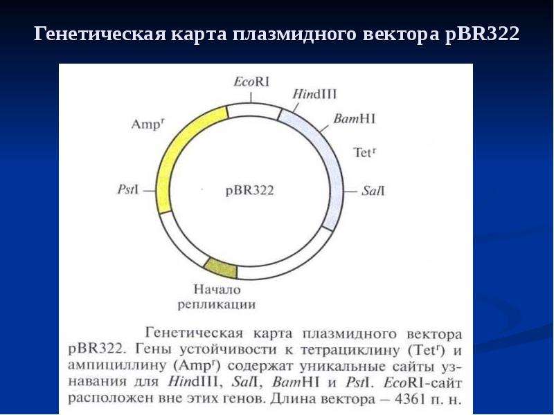 Генетическая карта здоровья