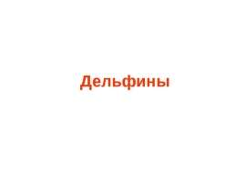 Дельфины - презентация к уроку Окружающий мир