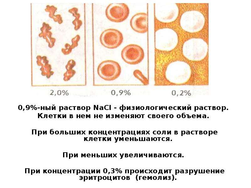 Клетка раствор. Физиологический раствор состав. Физиологический раствор NACL. Физиологический раствор это в биологии. Физиологический раствор это раствор.