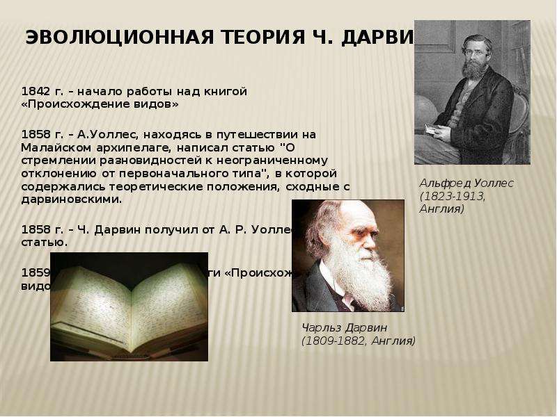 Теория ч. Теория эволюции Дарвин 1842. Альфред Уоллес эволюционная теория. Теория эволюции Уоллеса. Теория Дарвина и Уоллеса.