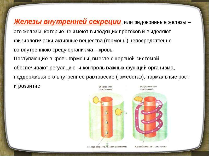 Железа 8 класс. Вывод функции желез внутренней секреции 8 класс. Вывод к таблице железы внутренней секреции. Железы внутренней секреции 8 класс биология вывод. Железы внутренней секреции вывод.