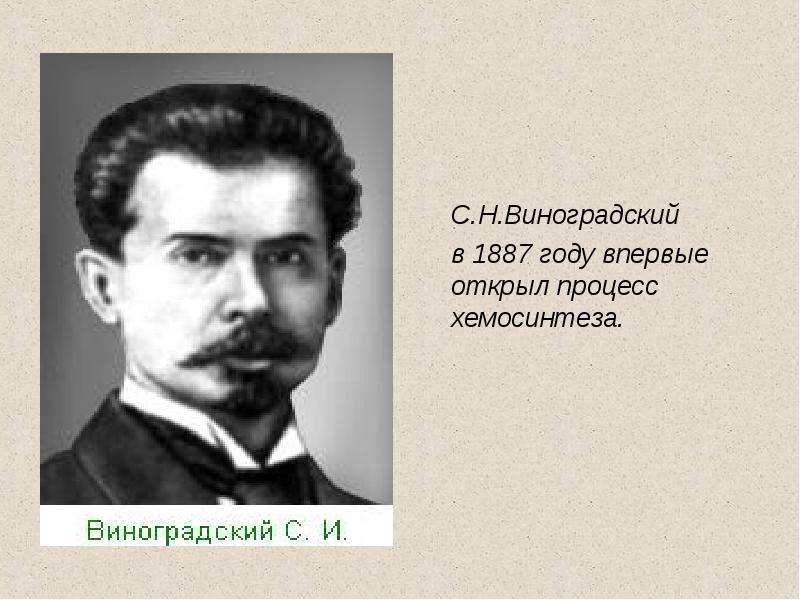 Виноградский. Виноградский 1887. С Н Виноградский что открыл. Сергей Виноградский хемосинтез. Биолог Виноградский.