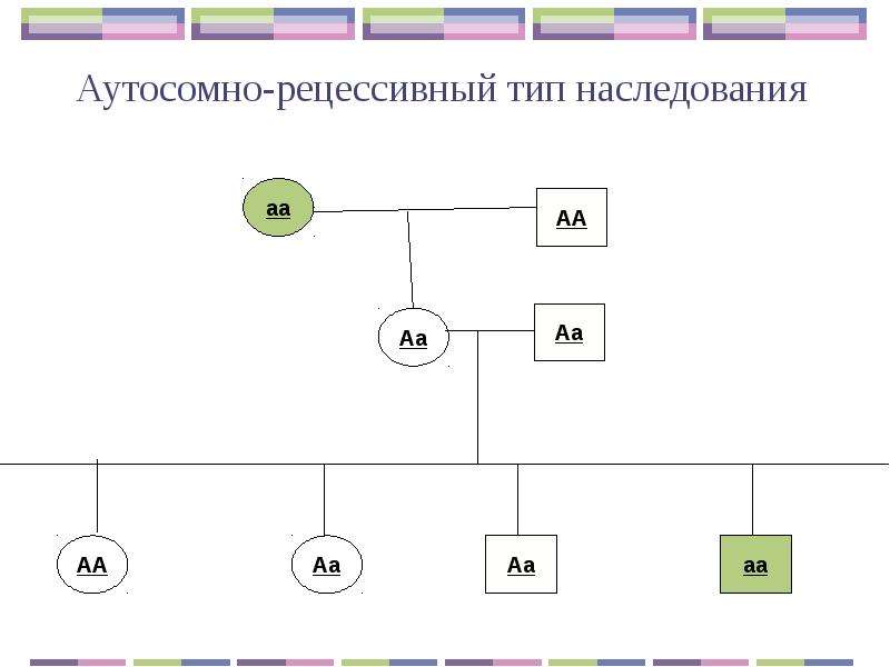 Рецессивное наследование это. Родословная аутосомно рецессивный. Родословная с аутосомно-рецессивным типом наследования. Аутосомно-рецессивный Тип наследования. Наследование по аутосомно-рецессивному типу.