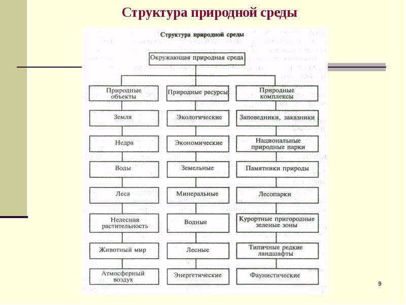 Естественная структура. Структура природной среды. Природная иерархия. Структура в природе. Структура окружающей среды человека.