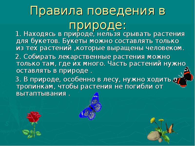 Какие растения запрещены. Поведение растений в природе. Нельзя срывать растения для букетов. Правила поведения с растениями в природе. Сообщение поведение растений в природе.