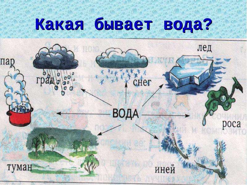 Конспект с презентацией по окружающему миру