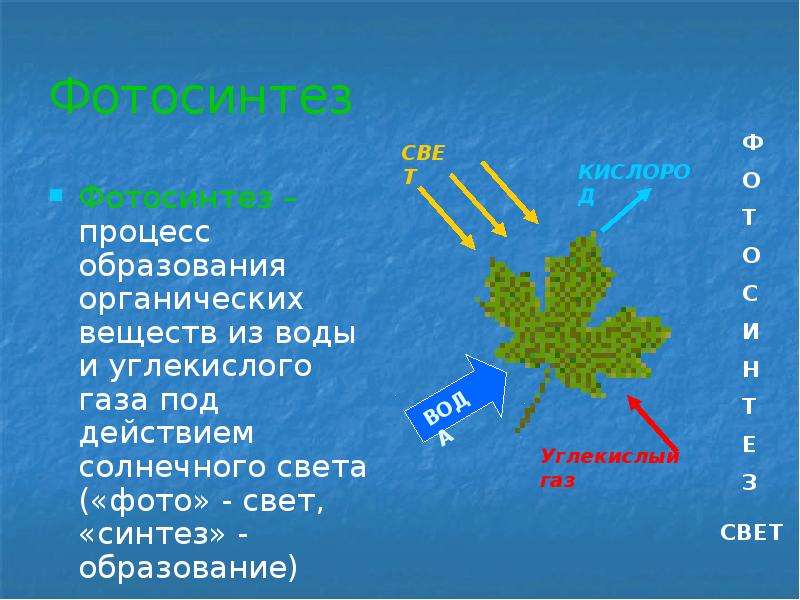 Образование органических. Процесс образования органических веществ. Образование органических веществ и углекислого газа и воды. Образование органических веществ из углекислого газа. Образование органического вещества из углекислого газа и воды.