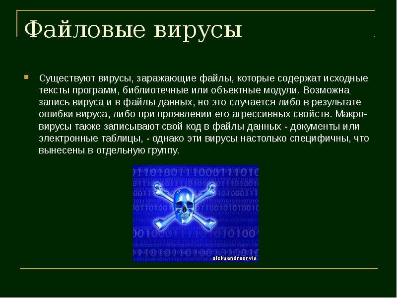 Запись возможна. Вирусов не существует. Что заражают файловые вирусы. Доказательство существования вирусов. Вирусы существуют.