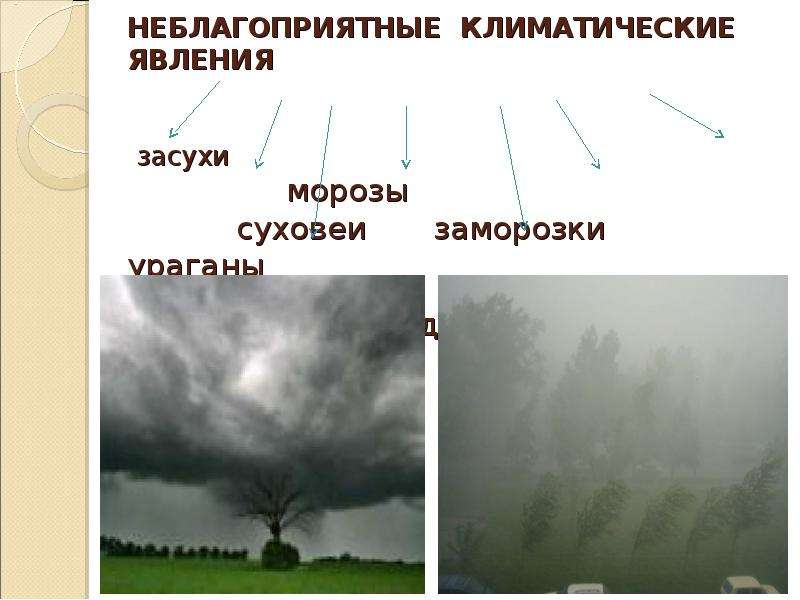 Явления климата. Неблагоприятные климатические явления засуха. Неблагоприятные климатические явления суховеи. Неблагоприятные климатические явления заморозки. Неблагоприятные климатические явления это засуха заморозки суховеи.