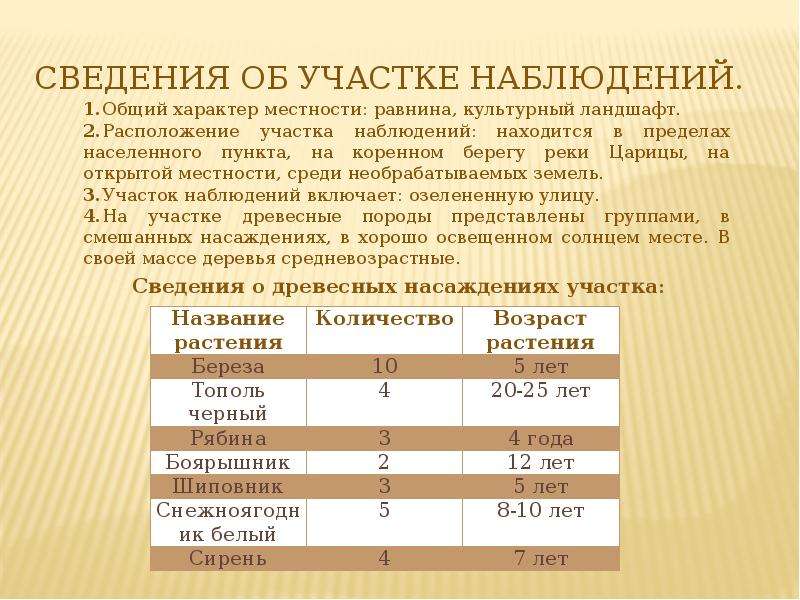 Четыре времени лета содержание. Дневник наблюдений на пришкольном участке. План наблюдений участка. Нормативы отработки на пришкольном участке 3 по 8 класс. Выполнено учеником 6а.