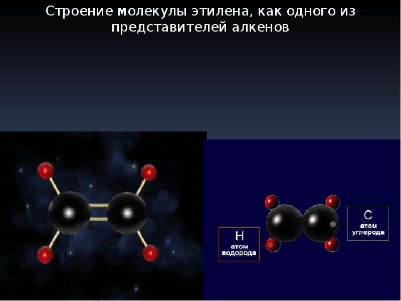 Вещество состоящее из атомов углерода. Формула молекулы алкенов. Типы связей между атомами углерода алкенов. Атомная модель алкенов. Алкены общая формула строение молекулы.