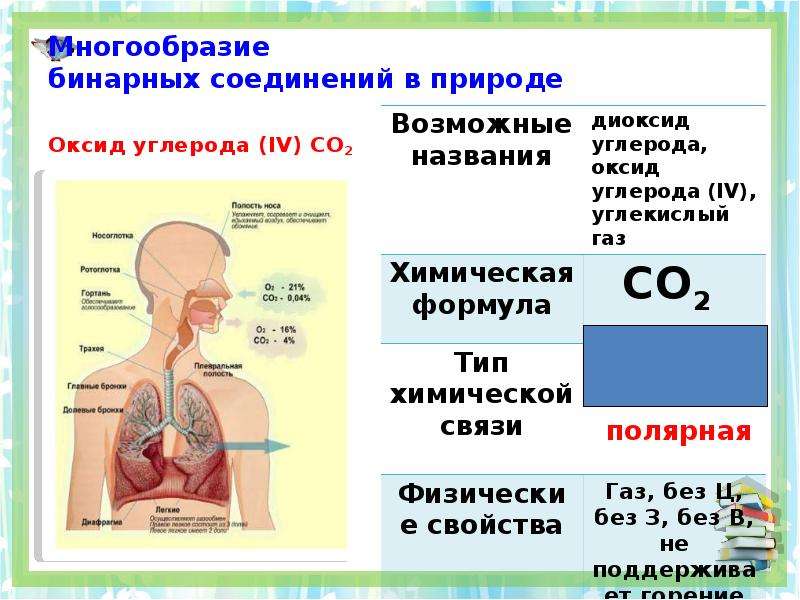 Бинарные соединения оксиды. Бинарные соединения в природе. Оксид углерода в природе. Оксид углерода бинарное соединение. Бинарные соединения углерода.