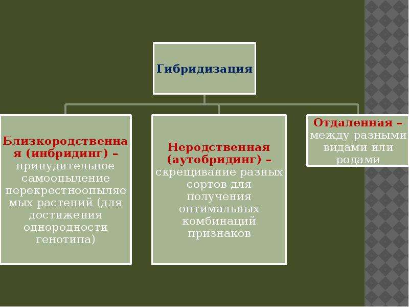 Презентация селекция растений пименов