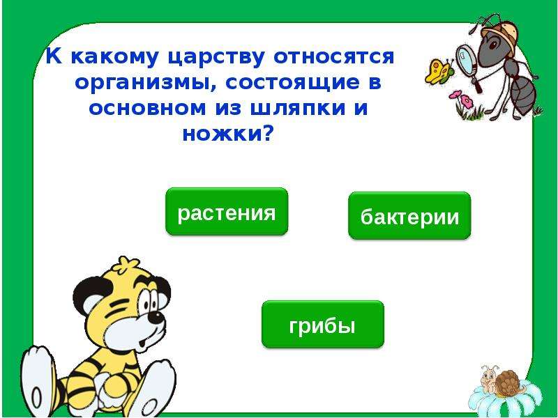 В основном. Какие царства. К какому царству они относятся. К какому царству относятся белки. Какому царству вы отнесли человека.