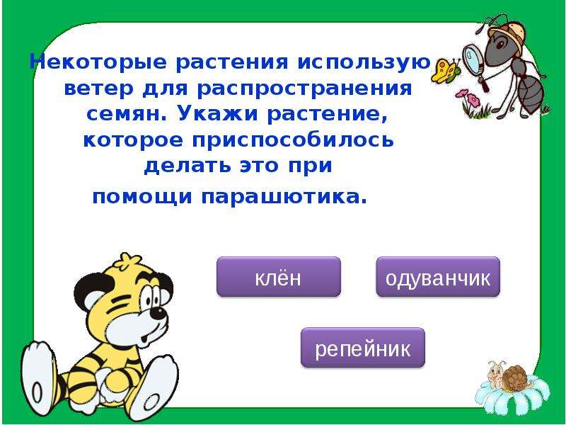 Укажи растение. Всезнайка растение. Конспект викторины всезнайка. Какие растения приспособились распространчтсч при помощи парашютика.