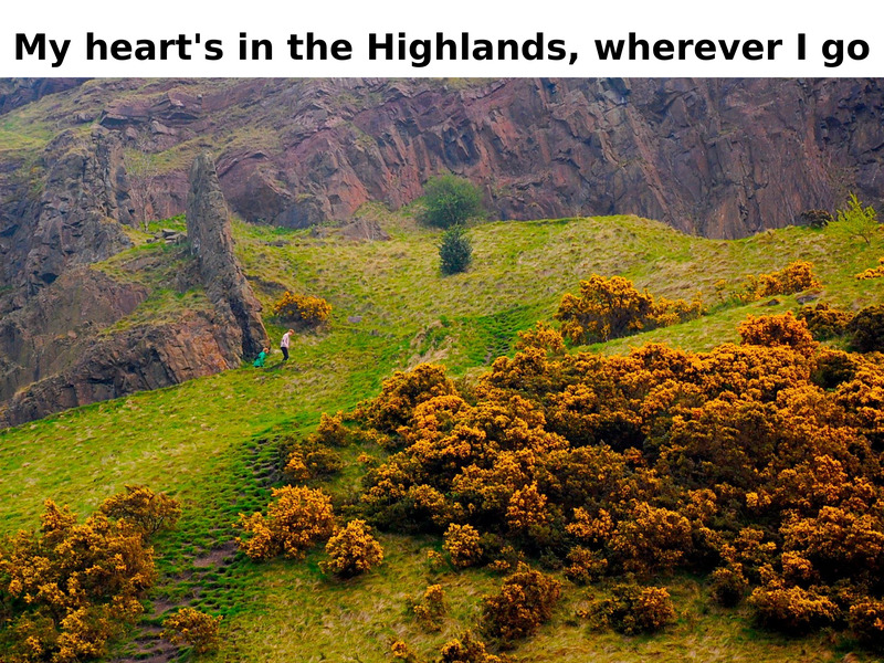       My heart's in the Highlands, wherever I go    