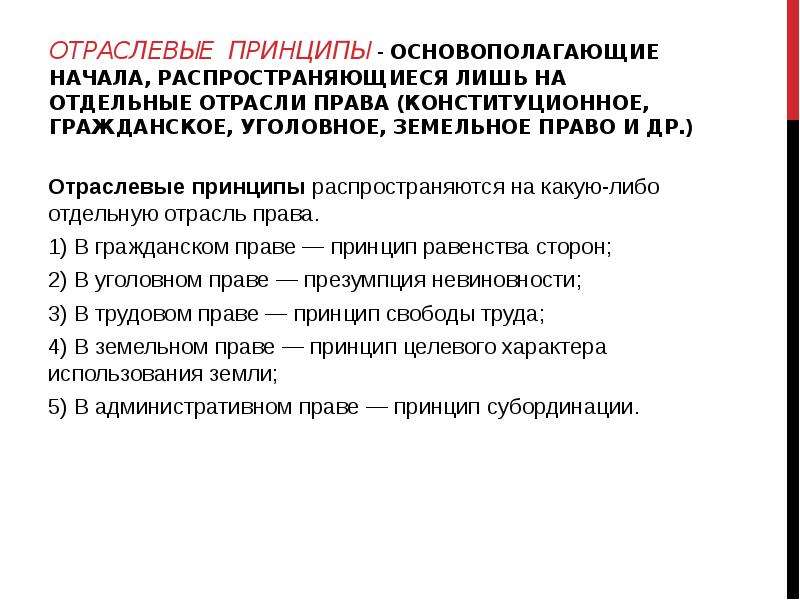 Принцип отрасли. Принципы отрасли права. Отраслевые принципы права. Отраслевые принципы права отрасль. Отраслевые отраслевые принципы гражданского права.