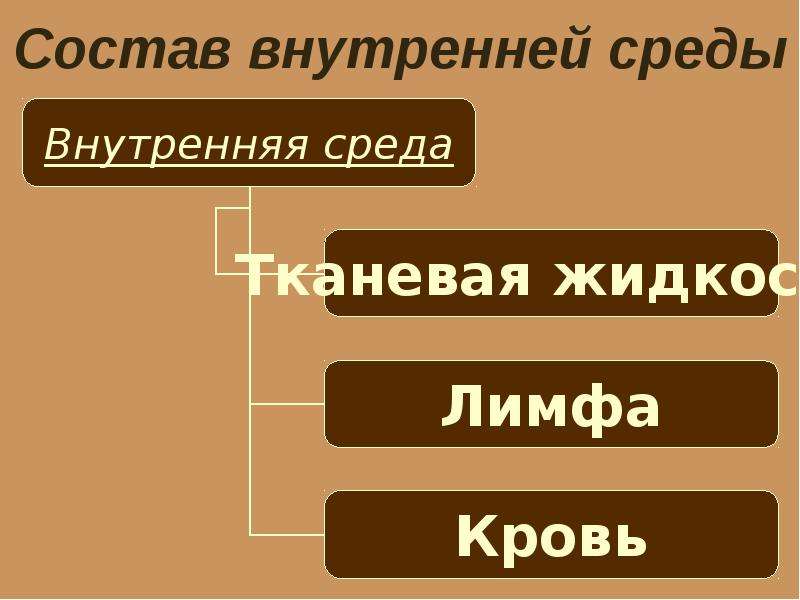 Тест 10 внутренняя среда организма. Внутренний состав.