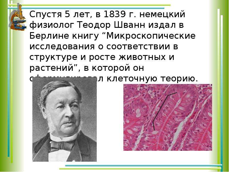 История изучения клетки клеточная теория. Немецкий физиолог Теодор Шванн. Теодор Шванн клеточная теория. Теодор Шванн вклад в биологию 1839. Вклад в изучение клетки Шванн.