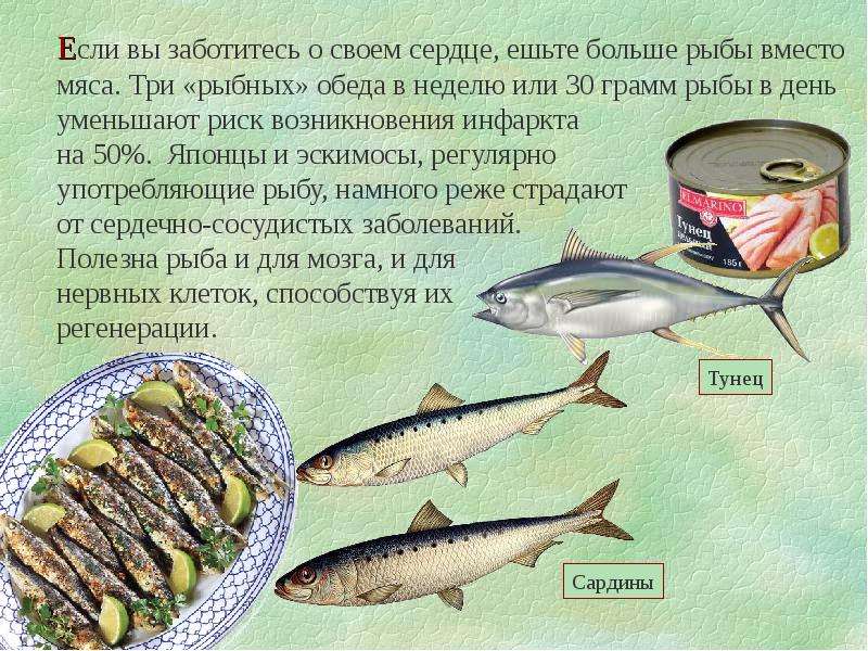 Какая рыба вредна. Польза рыбы. Какая рыба для организма полезно. Что полезного в рыбе для человека. Полезность рыбы.