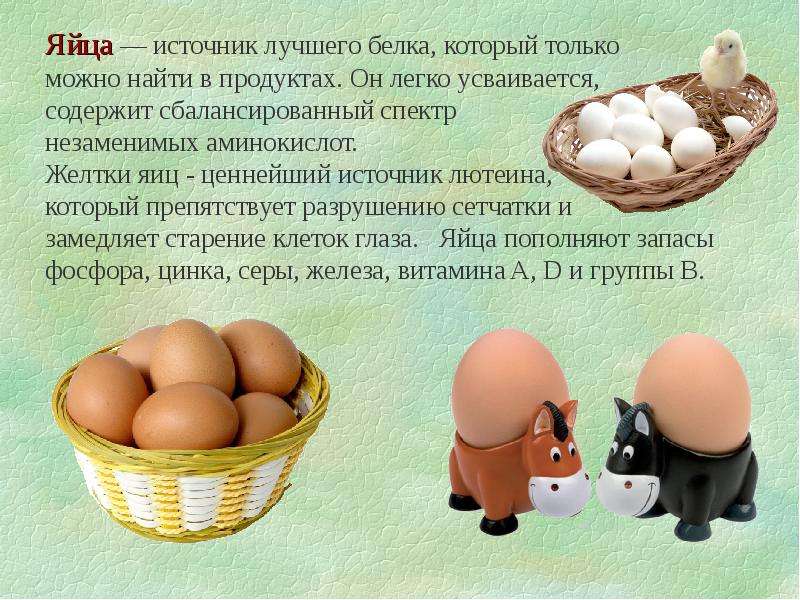 Яйца и яйца продукты презентация