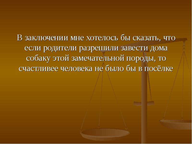 


В заключении мне хотелось бы сказать, что если родители разрешили завести дома собаку этой замечательной породы, то счастливее человека не было бы в посёлке
