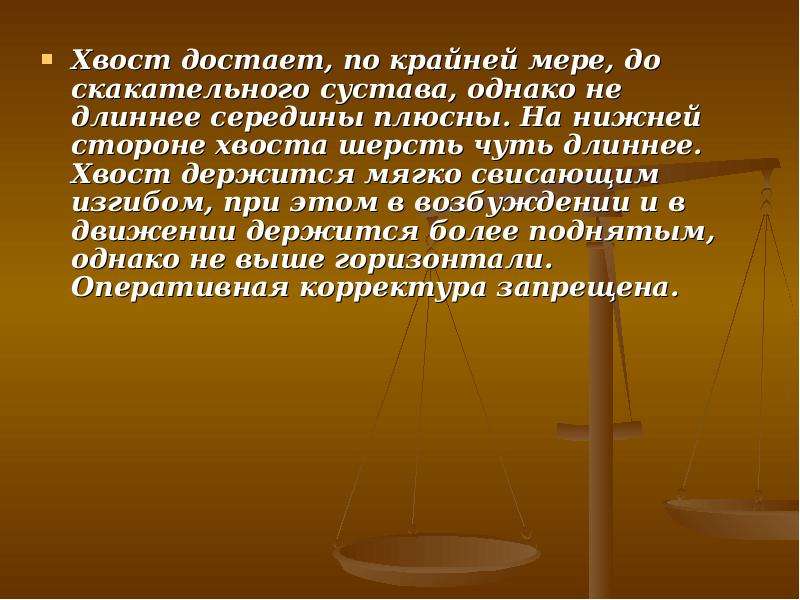 


Хвост достает, по крайней мере, до скакательного сустава, однако не длиннее середины плюсны. На нижней стороне хвоста шерсть чуть длиннее. Хвост держится мягко свисающим изгибом, при этом в возбуждении и в движении держится более поднятым, однако не выше горизонтали. Оперативная корректура запрещена.
Хвост достает, по крайней мере, до скакательного сустава, однако не длиннее середины плюсны. На нижней стороне хвоста шерсть чуть длиннее. Хвост держится мягко свисающим изгибом, при этом в возбуждении и в движении держится более поднятым, однако не выше горизонтали. Оперативная корректура запрещена.
