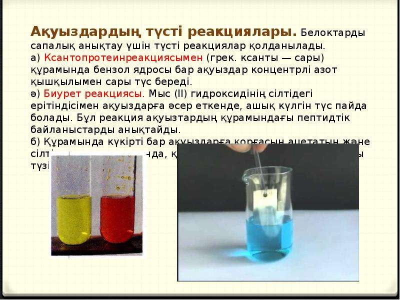 Организм показанный на рисунке стал основой для промышленного получения спирта инсулина