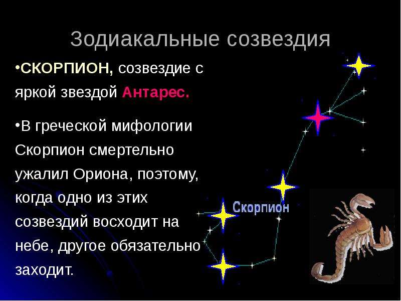 сколько зодиакальных созвездий на небе