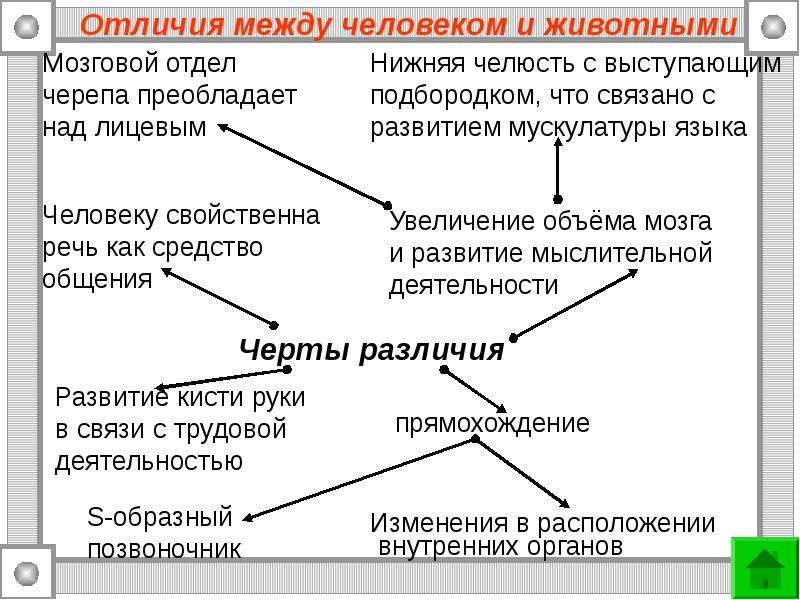 Науки о человеке и их методы презентация 8 класс