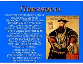 Пингвины Во время своего путешествия вокруг Мыса Доброй Надежды в 1497-98 гг. Васко да Гама увидел странных птиц, выпрыгивающих из