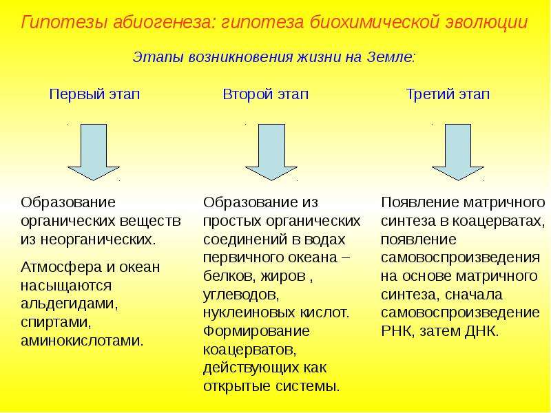 Презентация на тему гипотеза биохимической эволюции