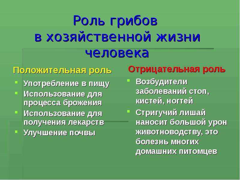 6 класс значение в природе. Положительная и отрицательная роль грибов. Положительная роль грибов. Роль грибов в жизни человека. Роль грибов в природе.